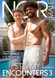 Steamy Encounters 3