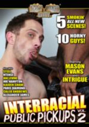 Interracial Public Pickups 2